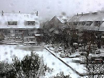 global warming Global Warming?