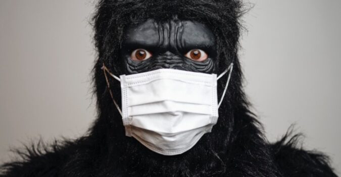 De 4 Grote Mythes Over Beleggingsfondsen WWW HANSNETTEN COM