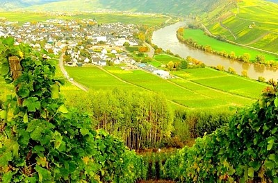 mosel-at-leiwen-01